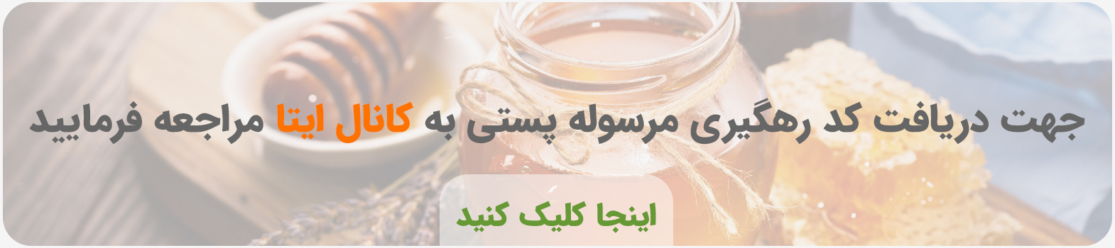 طب و نت